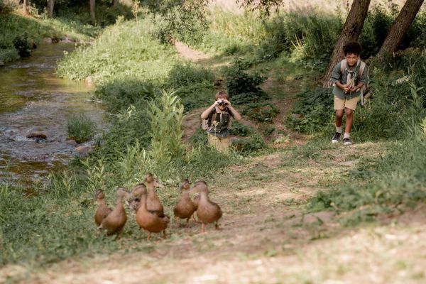 Comment les programmes éducatifs sur la faune peuvent-ils influencer les comportements de préservation ?
